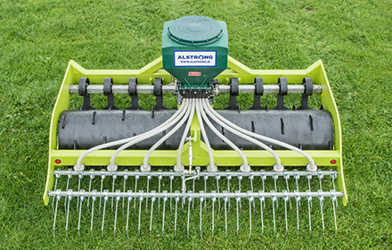 Alstrong Auctus Detail 1